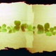Illustration for article titled Shooting Challenge: Pinhole Gallery